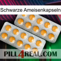 Black Ant Capsules levitra2
